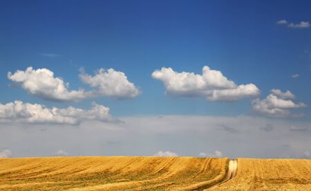 Farm land with country road and cloudy blue sky