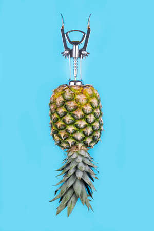Pineapple with corkscrew,fresh juice creative concept
