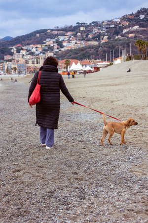 A woman walks with her red dog along the promenade on a sunny day.の写真素材