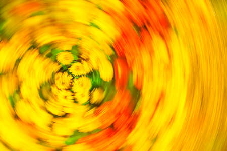 Abstract flower photography. Blurred motion background of flowers.の写真素材