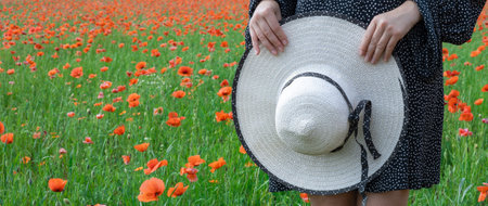 Banner close-up of female hands holding a summer hat the background of a field with poppies.の写真素材