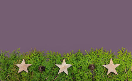 Flat lay Christmas card on violet background with Thuja branches and cones and wooden stars.