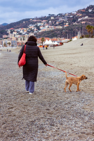 A woman from behind walks with her red dog along the promenade on a sunny day.の写真素材