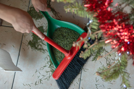 Cleaning up holiday tree needles: hands sweeping pine needles from floor with broom and dustpan.の写真素材