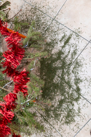 Dried needles fallen from Christmas tree with red tinsel on tiled floor.の写真素材