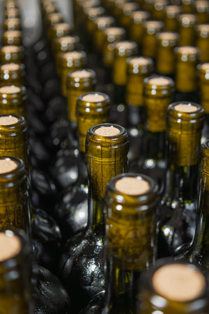 Close up numerous wine bottles are neatly arranged in a wine cellar, their necks and corked tops visible, suggesting a collection ready for enjoyment or agingの写真素材