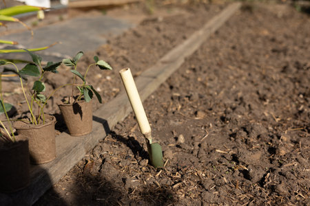 Small hand trowel digging into rich, prepared soil within a vibrant vegetable garden, surrounded by strawberry seedlings eagerly awaiting planting on a bright, sunny dayの写真素材