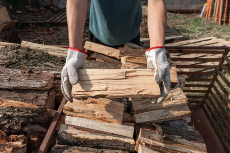 Lumberjack wearing protective gloves is carefully holding a piece of split firewood, standing near a pile of chopped wood, likely preparing for the upcoming winter seasonの写真素材