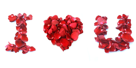 I love you made by Red Rose isolated on white backgroundの写真素材