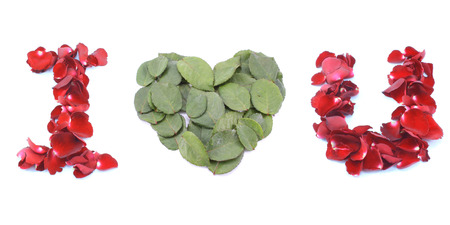 I love you made by Red Rose isolated on white backgroundの写真素材