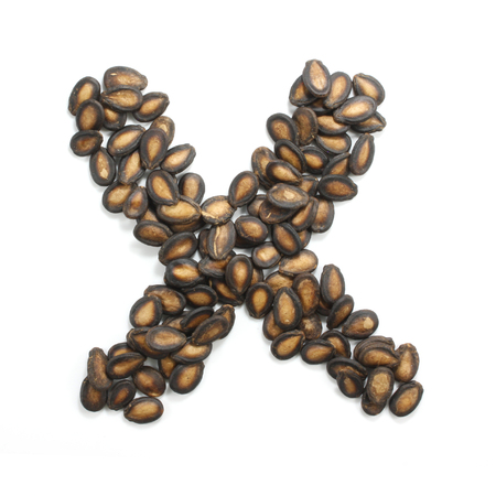 letter X made of watermelon seeds isolated on white backgroundの写真素材