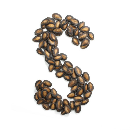 letter S made of watermelon seeds isolated on white backgroundの写真素材