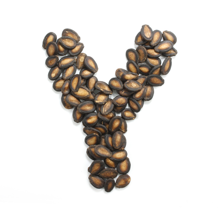 letter Y made of watermelon seeds isolated on white backgroundの写真素材