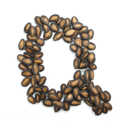 letter Q made of watermelon seeds isolated on white backgroundの写真素材