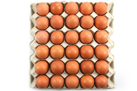 Hen eggs in paper Panel topviewの写真素材
