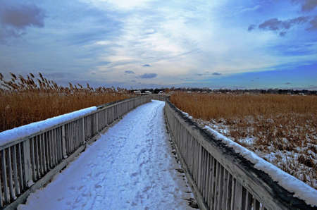 Winter boardwalkの写真素材