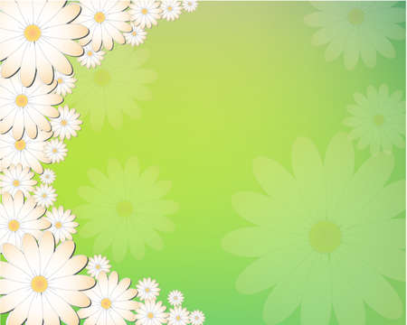 Floral background - white flowers on green backgroundのイラスト素材