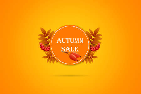 Big autumn sale label in orange colorsのイラスト素材