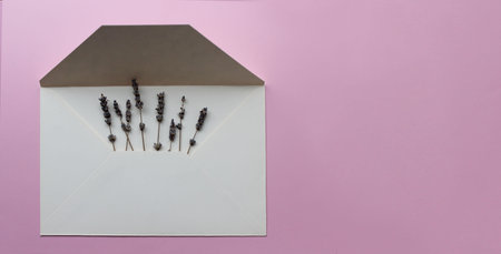 White open envelope with lavender flowers on a pink background. Letter with flowers