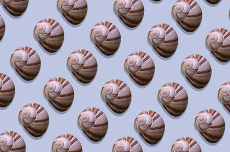 Pink sea shell on light blue background. Summer season and sea vacation concept. Nature background. pattern sea shellの写真素材