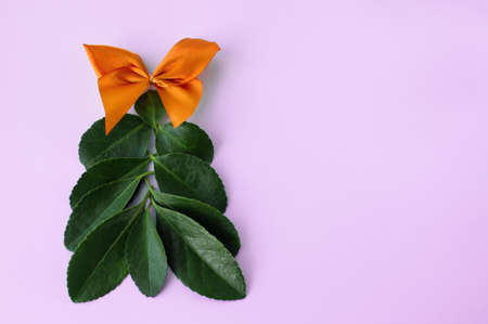 Christmas tree made of leaves on pink background. Eco tree. space for text.の写真素材