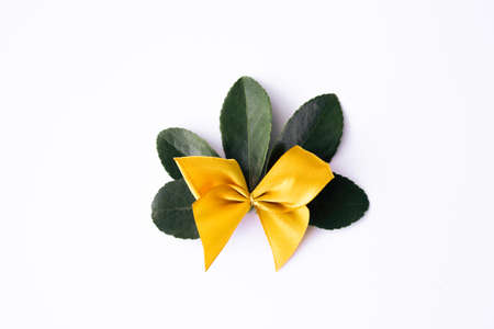 Green fresh leaves with yellow bow isolated on white background.