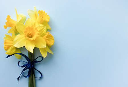 Spring floral background. bouquet of narcissus on blue background top view flat lay. International Womens Dayの写真素材