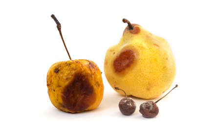 Rotten fruit with mold on white backgroundの写真素材