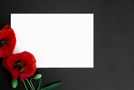 White blank card with red poppies flowers on black background, floral frame. Creative greetingの写真素材