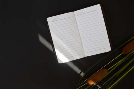 blank notebook and cattail branch on black background, top view, flat lay, place for textの写真素材