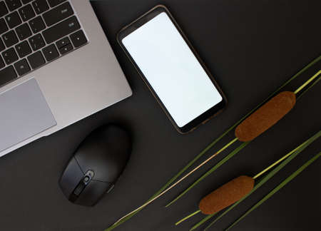Home office desk. Laptop, mobile, computer mouse and on dark background. Stylish workspace.