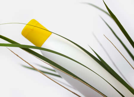 White cosmetic bottle in the leaves on white backgroundの写真素材