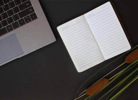 Home office desk. Laptop, mobile on dark background. Stylish workspace.の写真素材