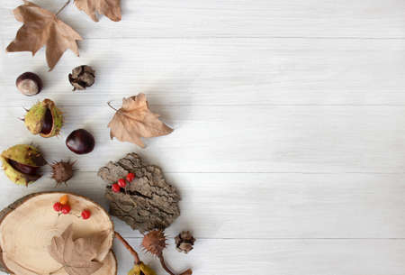 Autumn composition. Autumn layout on a light wooden background. Chestnuts, yellow dry leaves.の写真素材
