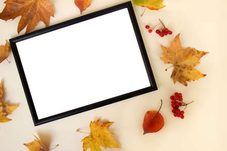 Blank mock up photo frame, autumn leaves and berries on beige background. Flat lay, top view, copy...