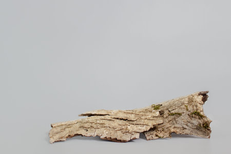 empty bark of tree podium minimalism on grey background. Copy space, place for textの写真素材