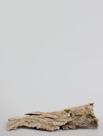 empty bark of tree podium minimalism on grey background. Copy space, place for text. Vertical photoの写真素材