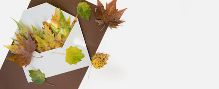 Autumn colorful leaves in an envelope on a brown and white background. Banner, place for text. Autumn patternの写真素材