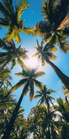 Palm tree against the background of the sunny sky, phone wallpaper. High quality photoの素材