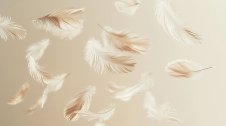 Levitating Delicate Feathers on a Neutral Background. High quality photoの素材