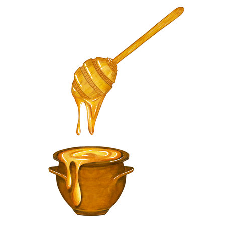 Watercolor illustration of a pot of honey and a wooden honey spoon. isolate on a white background.の写真素材