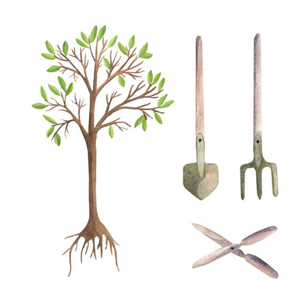Watercolor illustrations of seedlings and garden tools, shovel, pitchfork and scissors, isolate.の写真素材