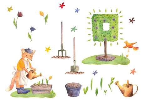A watercolor set with a fox character watering greenery on the lawn, a green tree, spring flowers and garden tools.の写真素材