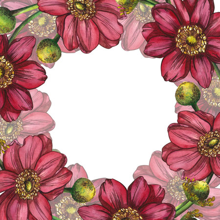 Frame for compositions of pink anemone flowers. Watercolor illustration highlighted on a white background. Suitable for making postcards, invitations, holiday, wedding or birthday cardsの写真素材