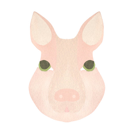 Pigs head in pink tones. Watercolor illustration highlighted on a white background. A set OF ANIMAL FACES. Suitable for childrens textile design, printing, wallpaper, postcards, wall paperの写真素材