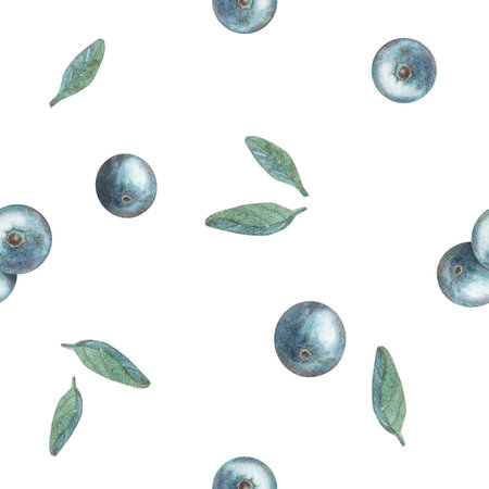 Watercolor seamless pattern in red plan with blue blueberries and green leaves on a white background, in vintage style. Illustration. Template for printing wallpaper, textiles, stationery, bed linenの写真素材