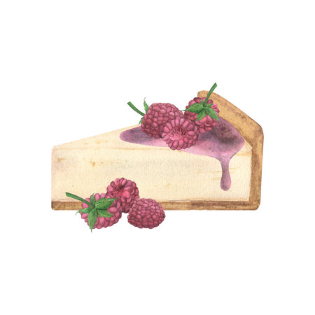A piece of cheese pie, cheesecake with syrup and raspberries on a white background. Hand-drawn...