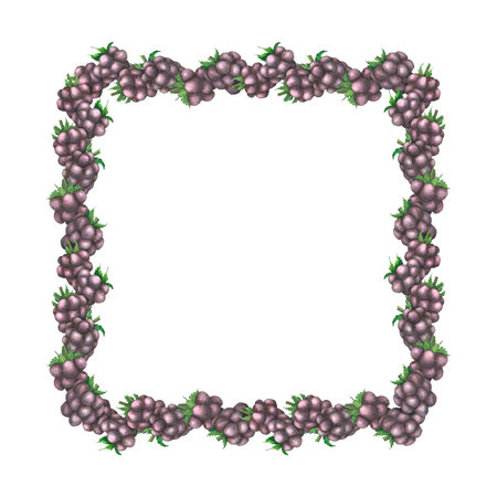 Watercolor vintage frame with a garden berry. Ripe blackberries , square wreath, harvest, berry season, summer. Illustration, template for the design of postcards, labels, invitations, cardsの写真素材