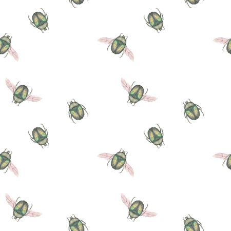 A green bronze beetle hand-painted in watercolor, isolated on a white background. Close-up illustration of insects. Cetonia aurata. Template for the design of textiles, postcard, tableware, stationeryの写真素材