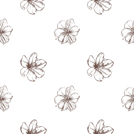 Seamless pattern with hand-drawn saffron flowers and pestles. Crocus illustration, clipart on a white background, monochrome drawing. Food, drinks, spices, aroma. Template for the designの写真素材